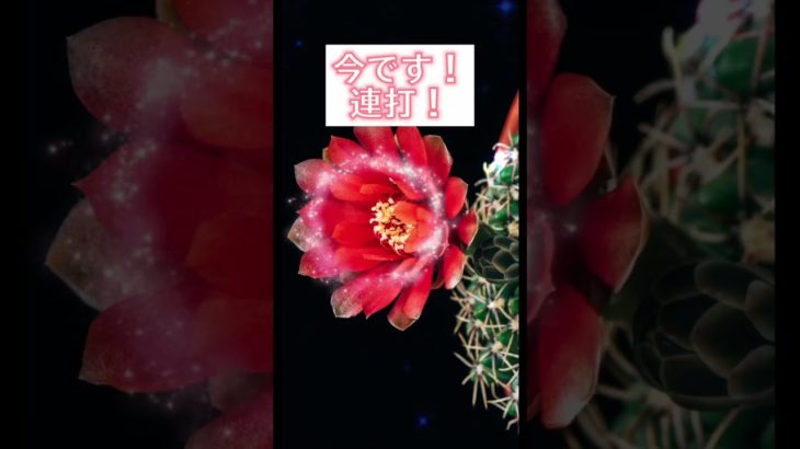 LINE追加はコメント欄から💖✨#スピリチュアル #波動 #幸運