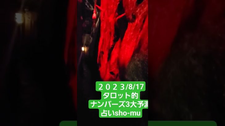 占いsho-mu#宝くじ #ナンバーズ3予想 #タロット #スピリチュアル