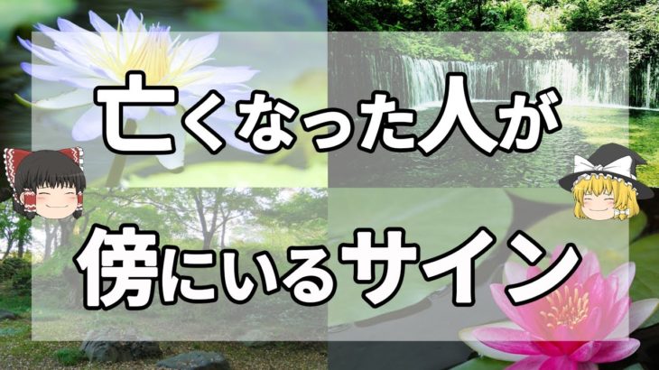 【スピリチュアル】今は亡き大切な人が会いに来たサイン１１選【ゆっくり解説】