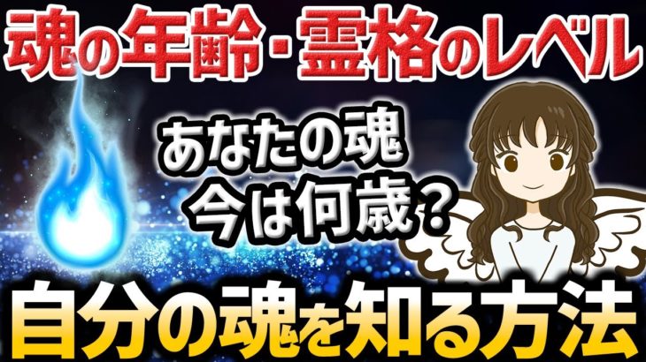 【ゆっくり不思議な話】魂の年齢・霊格のレベルについて解説するよ【スピリチュアル】