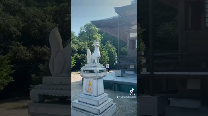 #鏡山神社 #稲荷 #スピリチュアル #龍神 #光エネルギー #龍神見習いスマイルとわたしの神社旅