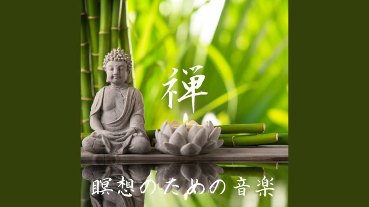 夢幻のオアシス マインドフルネス