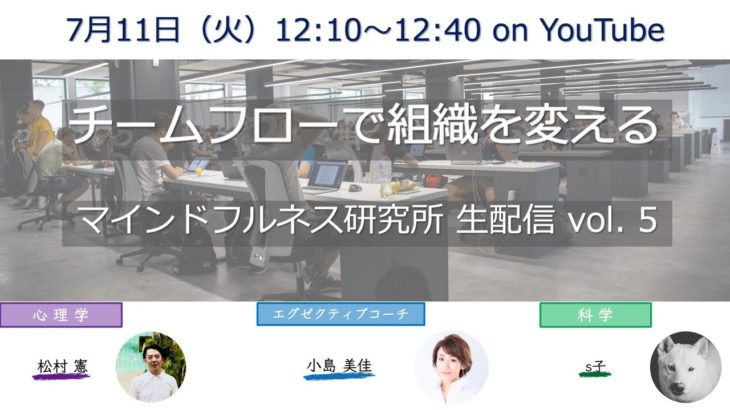 チームフローで組織を変える！その定義と要素、前提条件を解説【マインドフルネス研究所vol.5】#フロー #ゾーン #チームフロー #心理学 #マインドフルネス #組織開発