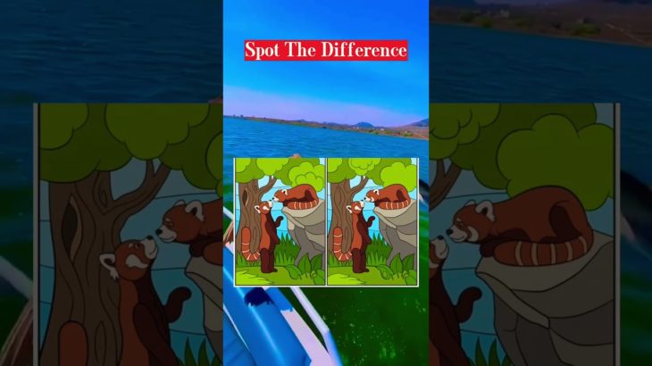 Health & Well-being – Spot the Difference