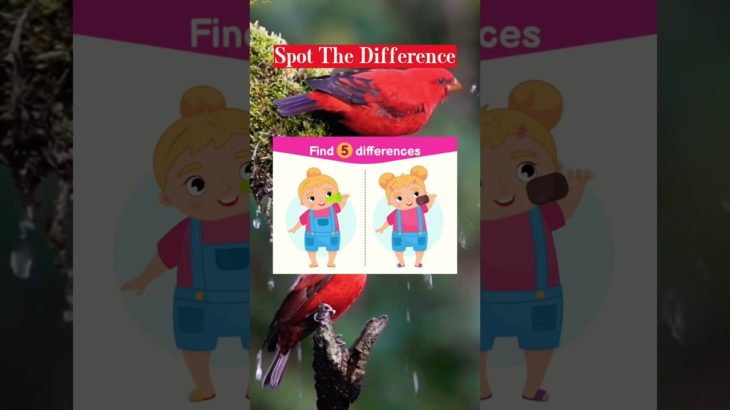 Health & Well-being – Spot the Difference