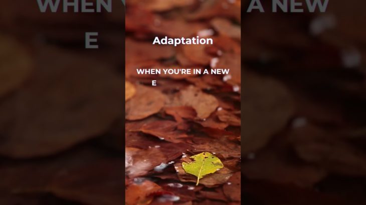 Mindful Insights: Psychology Facts for Well-Being #islamicpsychology #mindfulness #quote #motivation