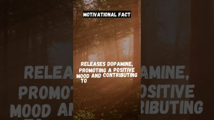 Joyful Pursuits How Engaging Activities Transform Your Well Being