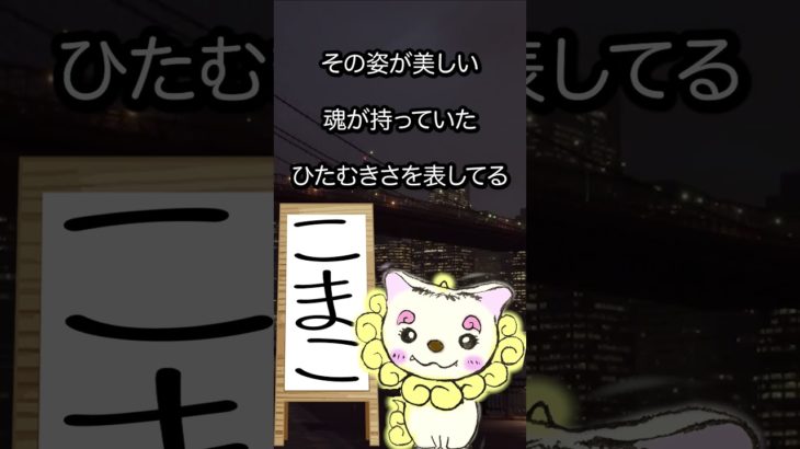 2/25のメッセージ♡ #こまこのまいにちメッセージ #スピリチュアルメッセージ #スピリチュアル好きな人と繋がりたい