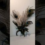 Nature can help improve your physical well-being! #shorts #nature #wellbeing