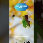 #Stronger Together: How Peer Support Elevates Mental Well-being- Better Me Transformation