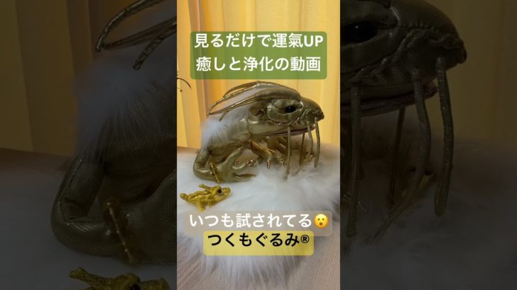 #癒し #龍神様 #龍神 #スピリチュアル #龍神パワー #浄化 #つくもぐるみ #金運アップ #神様が宿るぬいぐるみ #金龍 #黄龍