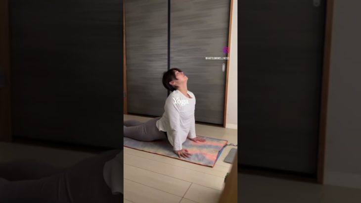 #ウェルネス #ウェルビーイング #マインドフルネス #メディテーション #ヨガ #瞑想