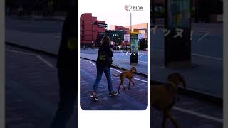 北欧で見つけたウェルビーイングなデザイン