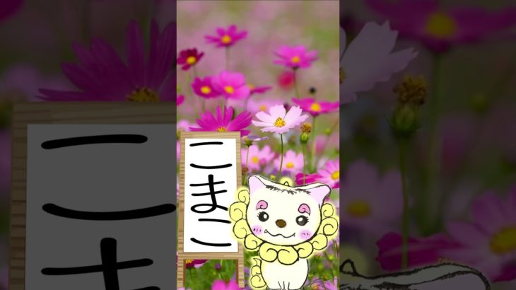 3/2のメッセージ♡ #こまこのまいにちメッセージ #スピリチュアルメッセージ #スピリチュアル好きな人と繋がりたい