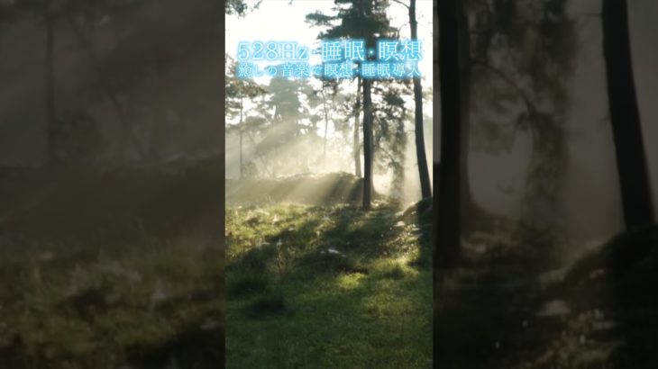 【528Hz・睡眠・瞑想】癒しの音楽で瞑想・睡眠導入 #shorts #528hz #528ヘルツ #ソルフェジオ周波数 #睡眠 #瞑想 #meditationmusic #relaxingmusic