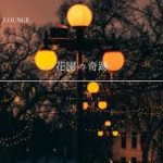 【聞くだけ|癒しBGM】花園の奇跡 #リラクゼーションと瞑想 #リラクゼーションミュージック #聞き流し #リラックス