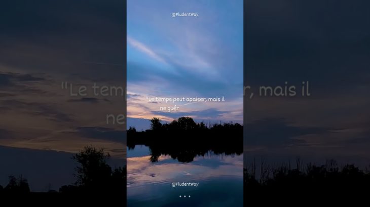 Citation n°185 #motivation #argent #amour #viral #money #wellbeing #development #life #citation