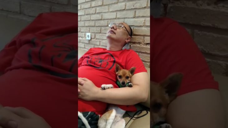 Meningkatkan Wellbeing Hewan Peliharaan #edukasihewan #bonding #animalcommunicator #animalwhisperer