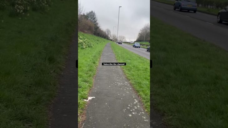 Morning Walk .I love greenery.#nature #health #youtubeshorts #wellbeing #green #motivation #birds