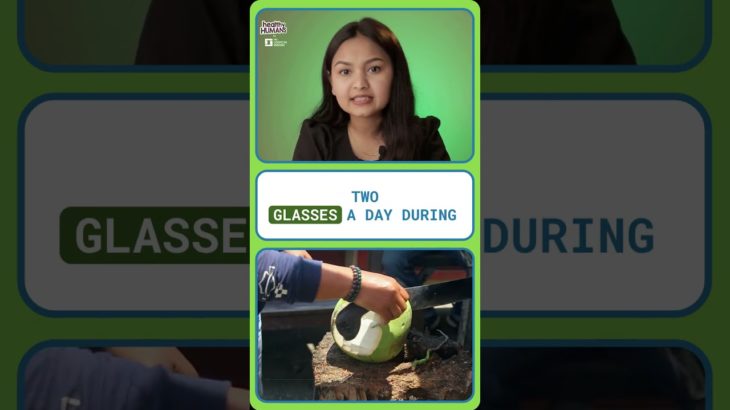 Rejuvenate Your Well-Being: Beat Dengue With These 3 Superfoods