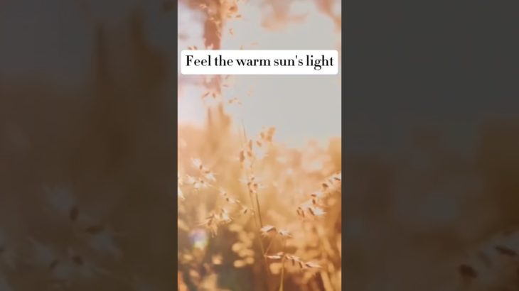 편안한 치유 명상 음악 Relaxing Healing Meditation Music 癒しの瞑想音楽 #music  #relaxed #healing