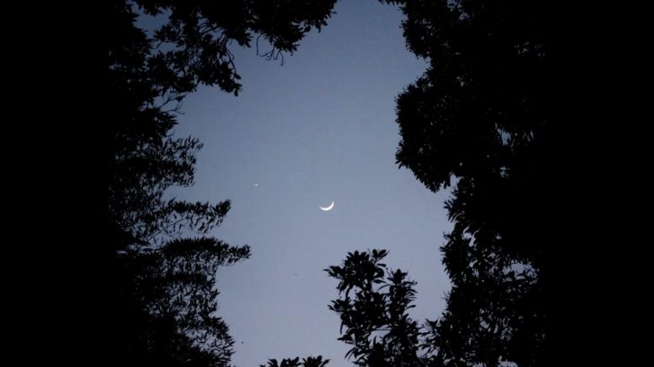 疲れを癒すなごみの空間#リラックス #癒し #睡眠 #瞑想 #bgm #空間#疲れ