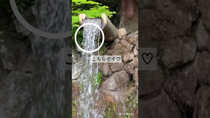 龍神様🐉のお顔 #shorts #龍神様 #スピリチュアル 大滝神社で不思議体験🌳瀬織津姫様  ✨磐座