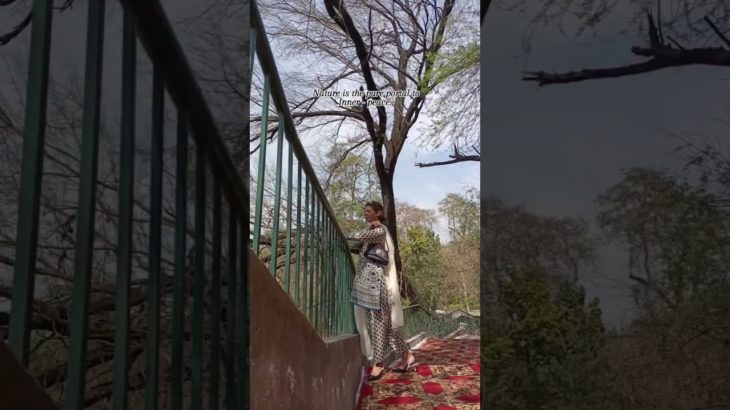 #trendingshorts #nature #green #peace #wellbeing