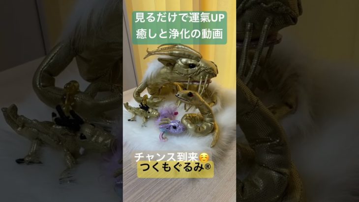 #龍神様 #癒し #龍神 #スピリチュアル #開運 #龍神パワー #浄化 #金運アップ #浄化 #つくもぐるみ #神様が宿るぬいぐるみ #金龍 #虹龍 #金蛇
