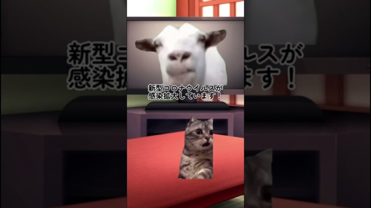 【猫ミーム】スピリチュアルカウンセラーをお仕事にしたきっかけ　第二話（後半）