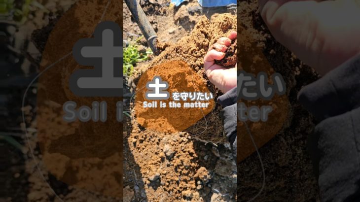 土を循環させたい#家庭菜園 #ウェルビーイング#循環再生#サスティナブルガーデニング#微生物#無農薬 #オーガニック栽培 #自然栽培 #自然農 #菌