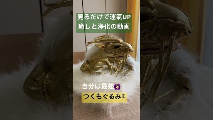 #龍神様 #龍神 #スピリチュアル #開運 #龍神パワー #浄化 #つくもぐるみ #癒し #金運アップ #神様が宿るぬいぐるみ #金龍