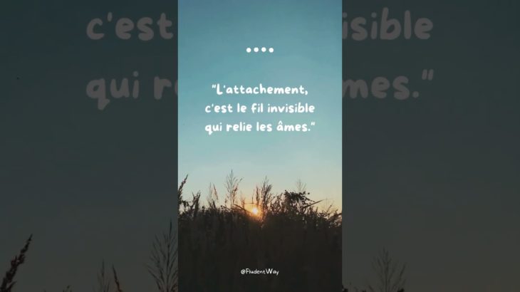 Citation n°240 #motivation #argent #amour #viral #money #wellbeing #development #life #citation