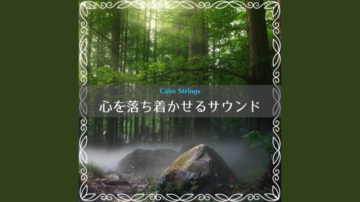 Wellbeing on the Beach