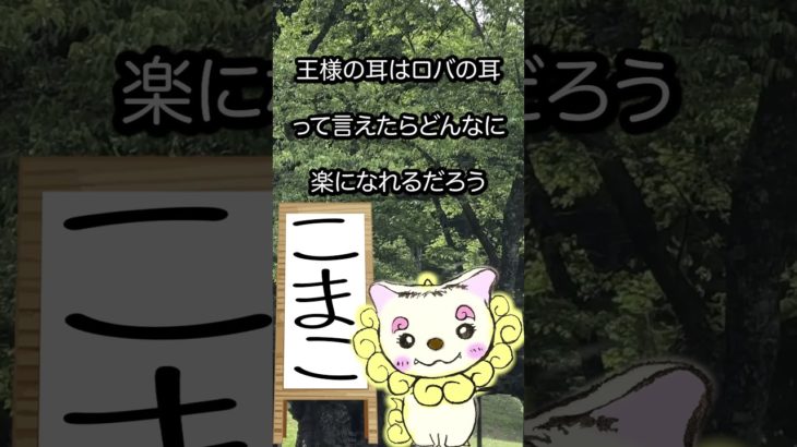 5/1のメッセージ♡ #こまこのまいにちメッセージ #スピリチュアルメッセージ #スピリチュアル好きな人と繋がりたい