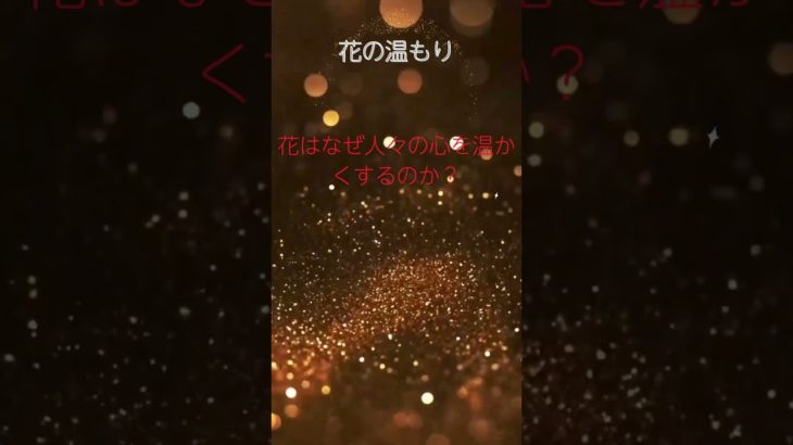 (AIスピリチュアル 運気上昇)＃スピリチュアル #開運 #幸福度アップ #金運上昇 #対人関係上昇 #仕事運上昇 #Shorts c60