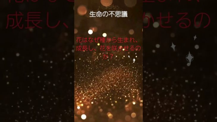 (AIスピリチュアル 運気上昇)＃スピリチュアル #開運 #幸福度アップ #金運上昇 #対人関係上昇 #仕事運上昇 #Shorts d26