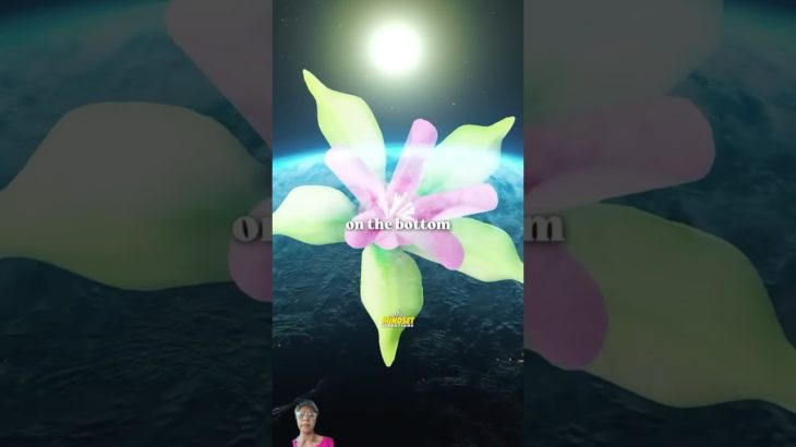 #speakyourworth #wellbeing #frequency #raiseyourvibraion