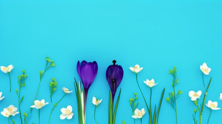 【AMV】Well-being  　- スタジオAiワークLab（art music video  アートミュージックビデオ）