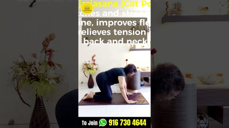 Prioritize your well-being with these essential daily asanas! 🧘‍♀️✨