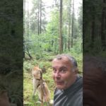 #bushcraftuk , Forest wellbeing physically and spiritual