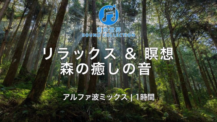 リラックス & 瞑想 森の癒しの音 | α波ミックス | 1時間