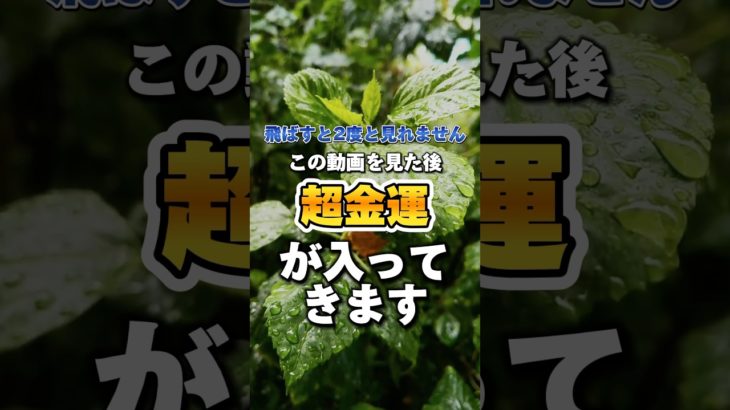 いいねとフォローで効果10倍！#スピリチュアル #占い #金運引き寄せ #金運上昇 #お金