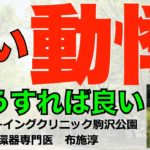 【動悸3】ドキドキドキ！運動もしていないのに速い動悸が生じた時の対処を循環器専門医が易しく説明