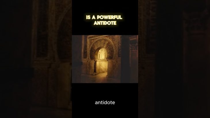 Mindfulness and Reflection #stoicism #stoic #mindfulness #foryou #shorts