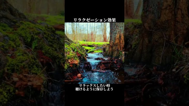リラクゼーション効果#環境音 #自然音 #リラクゼーション #瞑想#安眠 #水の音 #癒しの自然音 #pixabay