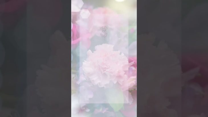 #shorts #あの人の本心 #スピリチュアル #疎遠 #復縁 #タロット占い #オラクルカード #ルノルマンカード #あの人の本音 #恋愛 #個人鑑定 #3択リーディング