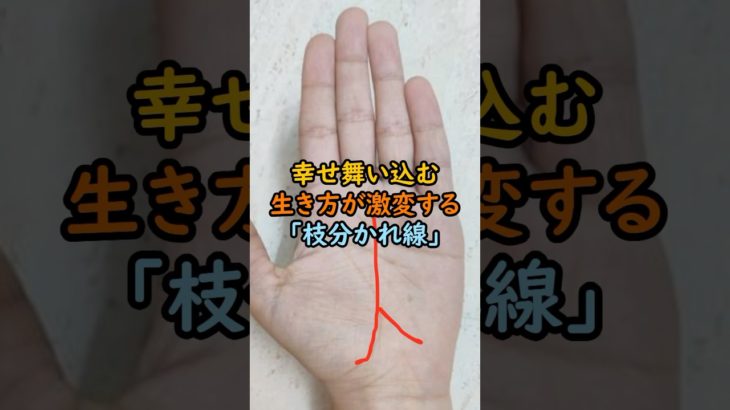 幸せ舞い込む！枝分かれ線 #スピリチュアル #サイン #金運 #運 #大金 #開運 #幸運 #財運 #風水 #占い #手相 #shorts