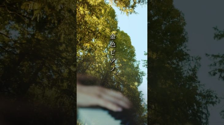 金色ピアノ【ソルフェジオ周波数417Hz + ピアノ即興】#shorts #ソルフェジオ周波数 #スピリチュアル #ピアノ