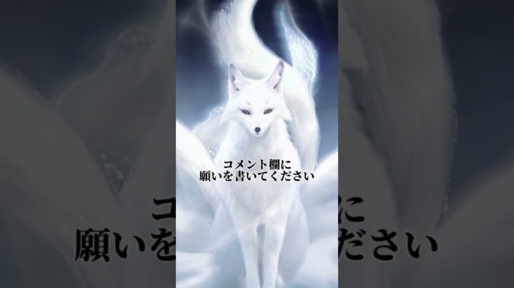 7秒見つめてください#幸運 #スピリチュアル #開運 #金運 #波動 #浄化 #白狐 #金運アップ